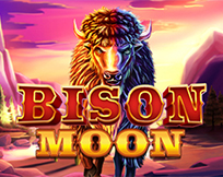 Bison Moon